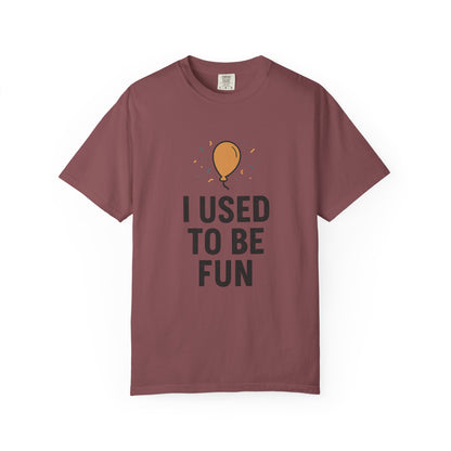 I Used to Be Fun